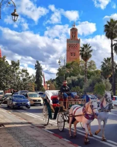 Road Trip Maroc depuis Marrakech : 5 Itinéraires Incontournables